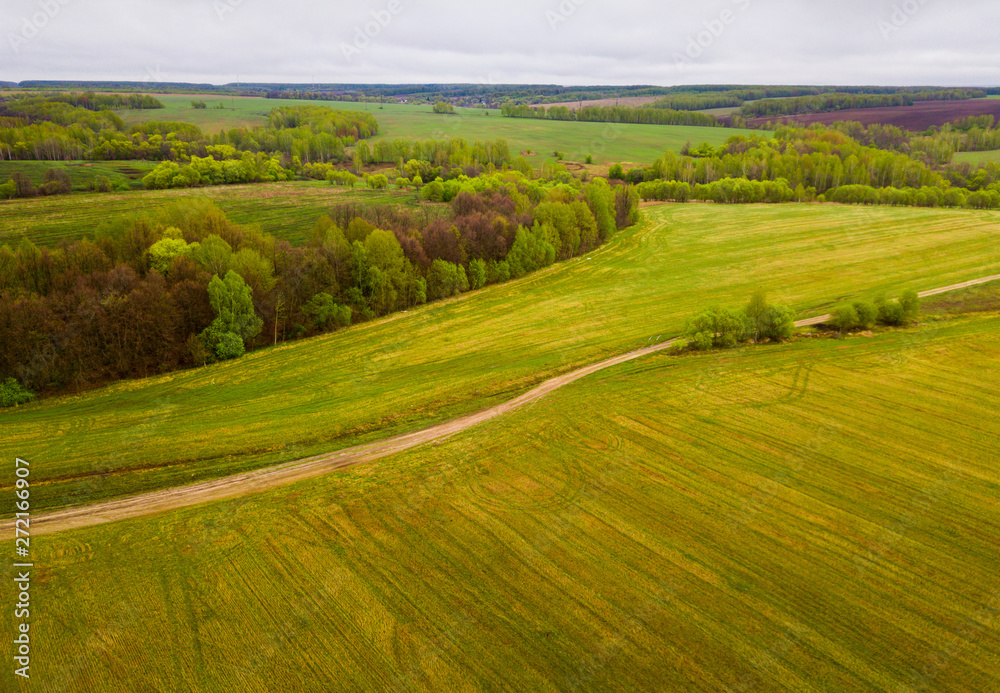 Green fields and meadows