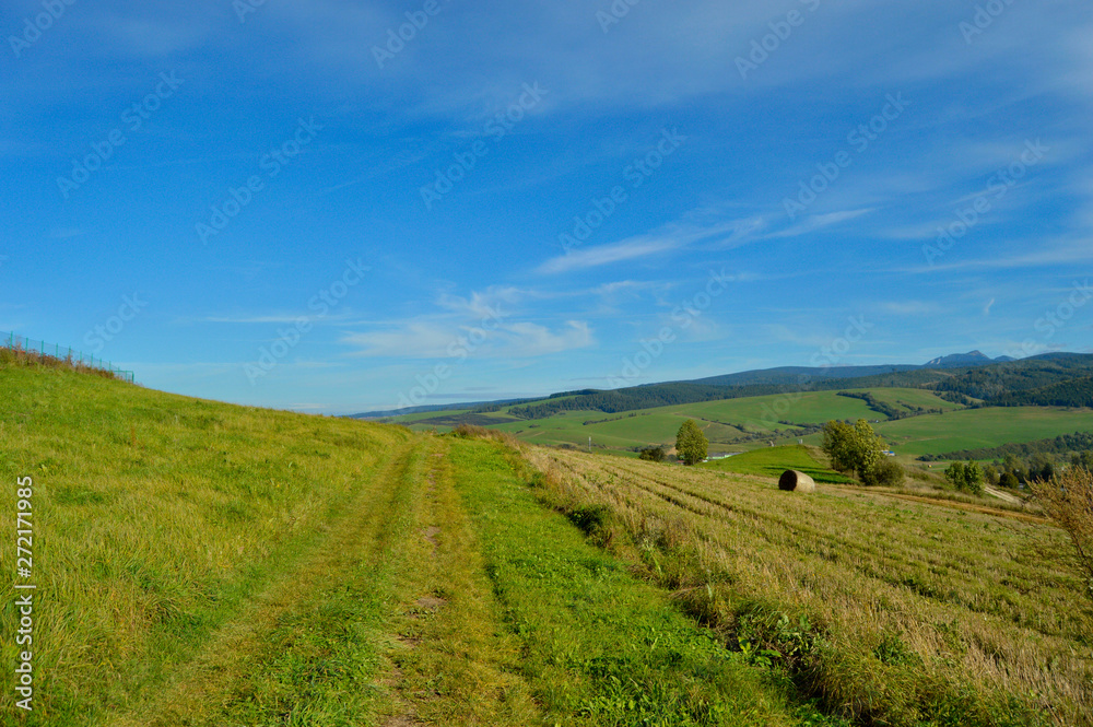  country road near to the field with trees