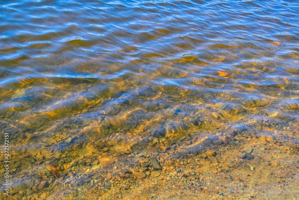 River water surface texture on a sunny day.