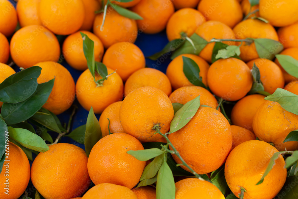 New harvest of sweet ripe oranges fruits on market