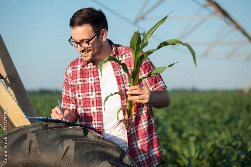 Happy young farmer or agronomist in red checkered shirt measuring young  corn plant stem size with a ruler, writing data to a questionnaire. Organic  farming and healthy food production. Stock Photo