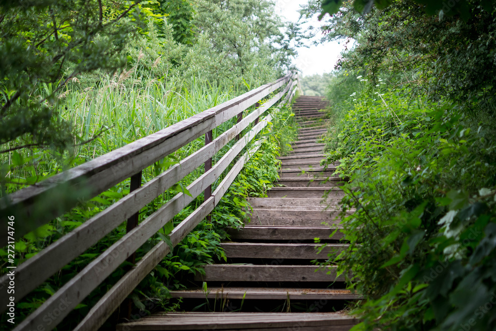 descent old wooden stairs grass