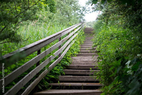 descent old wooden stairs grass