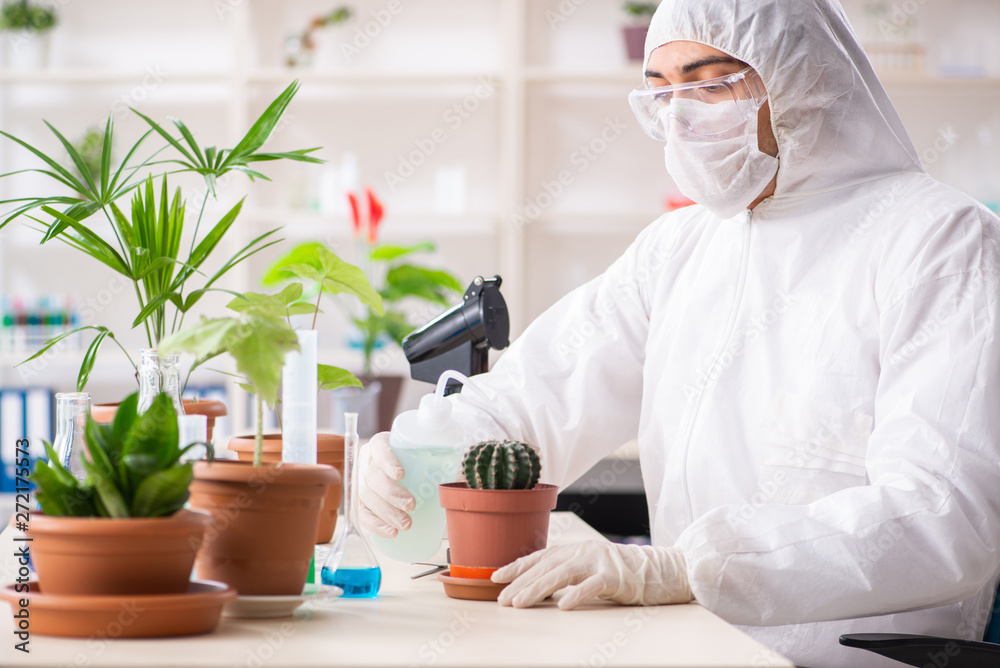 Fototapeta premium Biotechnology chemist working in lab