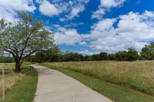 Concrete path in the city park on a sunny June day © photocinemapro