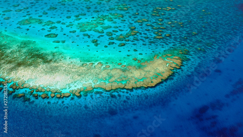 Turquoise corals of the Lodestone Reef, Great Barrier Reef, Queensland, Australia © Coral_Brunner
