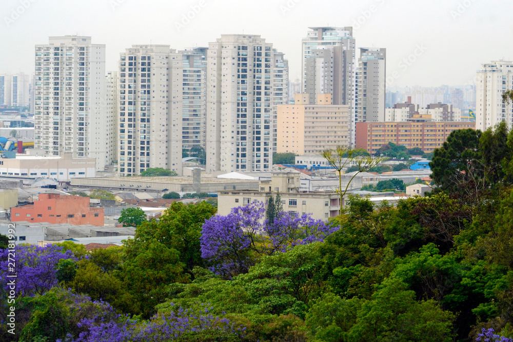 Obraz premium São Paulo