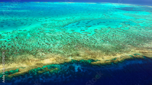 From the reef crust to the shallow lagoon (Lodestone Reef, Great Barrier Reef, Australia)