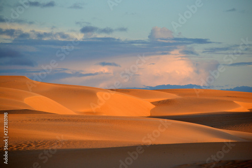 Dunas Douradas  © maxmunix