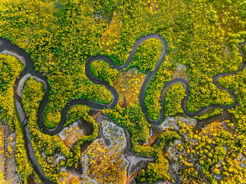 Creek meandering between the mangroves from straight above photo
