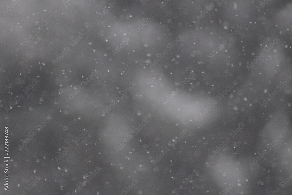 Falling Snowflakes Falling Snowflakes