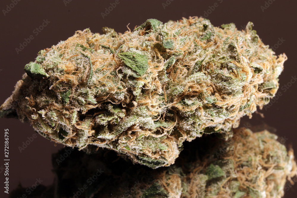 Obraz premium Medical Marijuana. Sativa hybrid.