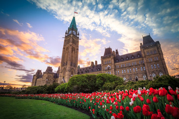 Fototapete Kanada Ansicht des kanadischen Parlamentsgebäudes in Ottawa während des Tulpenfestivals  © Aqnus