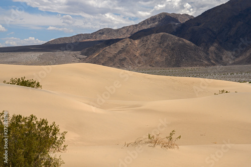 Fototapeta Naklejka Na Ścianę i Meble -  Mesquite Flat Sand Dunes, south california, death valley