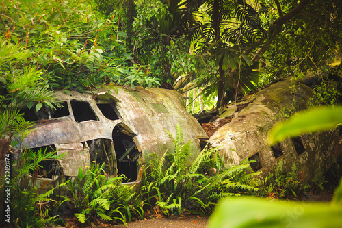 Obraz na płótnie Crashed plane in the rainforest