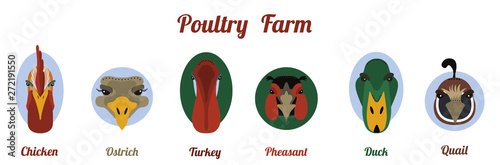 Flat icon poultry farm