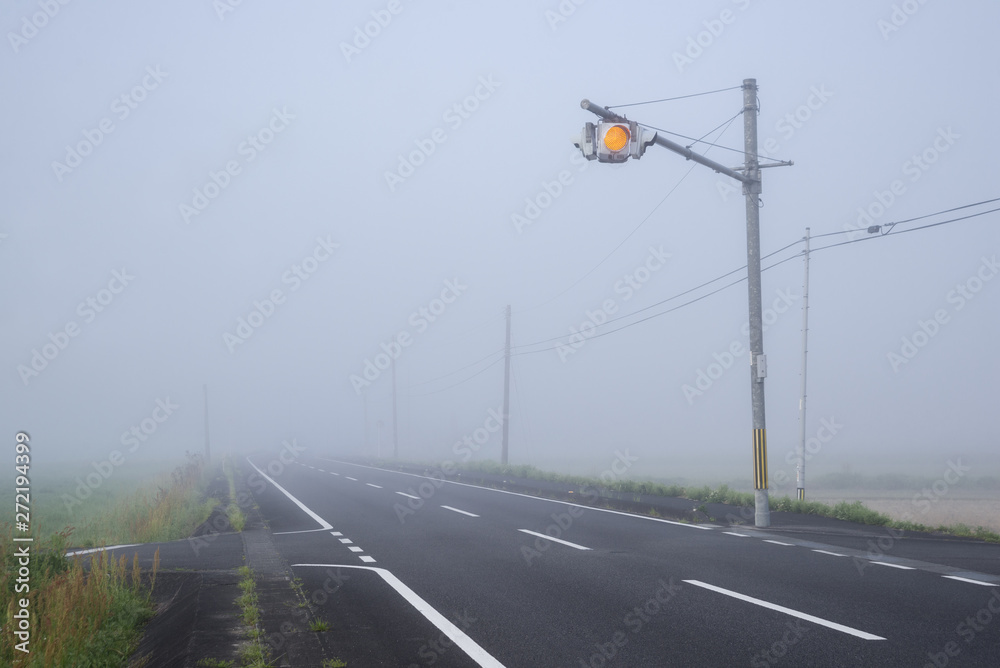 Fototapeta premium 霧の中の一灯点滅式信号機