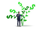 Money tree concept with businessman in growing profits 