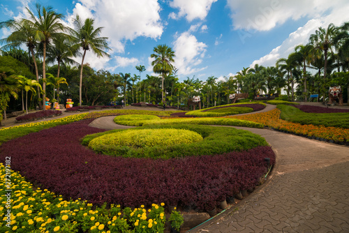 Colourful botanical flower garden