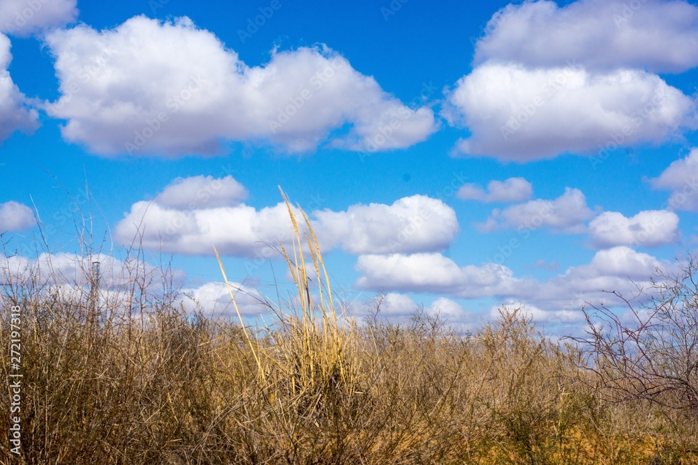 The extraordinary landscape of the steppes of Kalmykia. Over the boundless steppe float bizarre Cumulus clouds. The extraordinary landscape of the steppes of Kalmykia. Over the boundless steppe float bizarre Cumulus clouds.