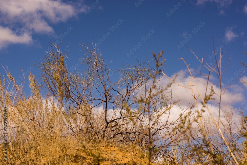 Obraz premium The extraordinary landscape of the steppes of Kalmykia. Over the boundless steppe float bizarre Cumulus clouds.