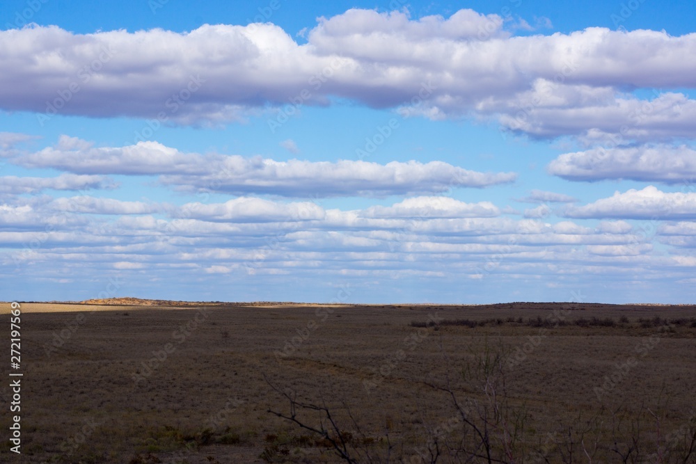 Obraz premium The extraordinary landscape of the steppes of Kalmykia. Over the boundless steppe float bizarre Cumulus clouds.
