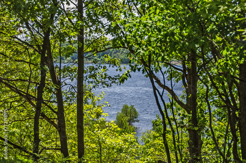 Fototapeta Naklejka Na Ścianę i Meble -  Lake Through the Trees