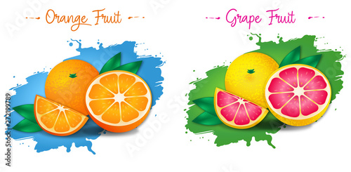 Fototapeta Naklejka Na Ścianę i Meble -  Set of vector illustration oranges and grape fruit