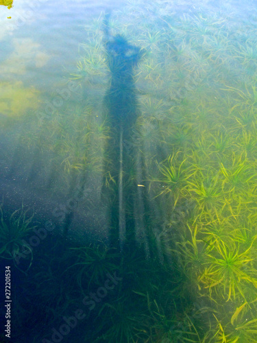 Shadow of a girl on water surface of lake. Silhouette of a standing woman with a raised hand for greeting creates a reflection in green transparent water with underwater plants on a sunny summer day.