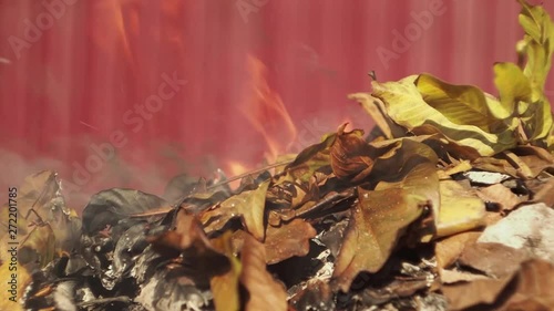In the fall of scorched leaves  Fallen autumn leaves burn household situation ecology  