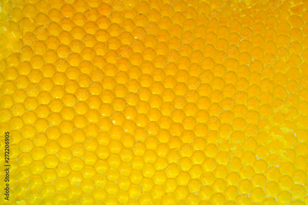 Close-up of an Honeycomb Texture Close-up of an Honeycomb Texture