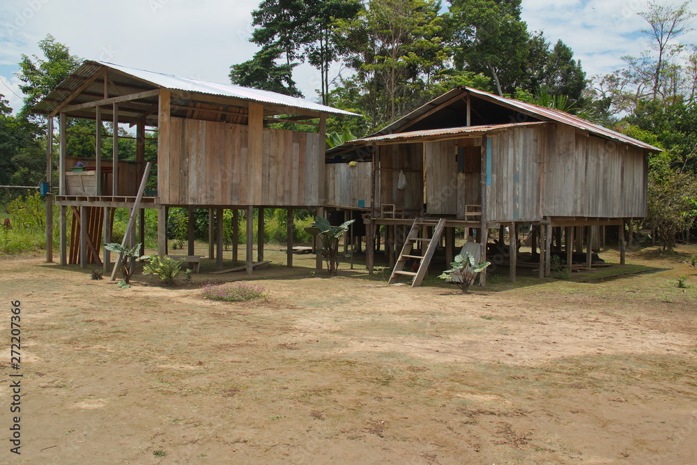 Fototapeta premium Houses in the village San Antonio de Cacao at Amazonas river in Peru