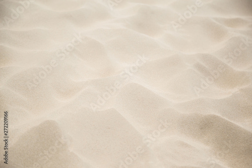 Fine beach sand in the summerBackground with copy space and visible sand texture. © A Stockphoto
