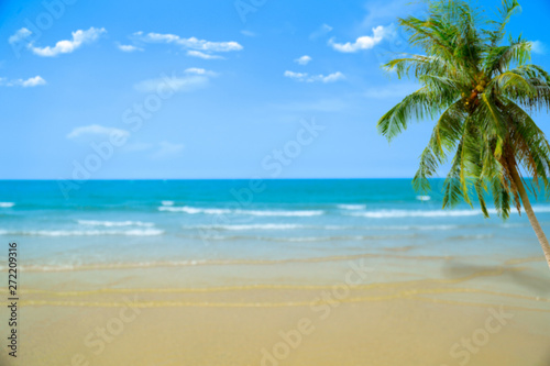 Beach with blurry blue ocean and sky palm tree background  Summer Concept .