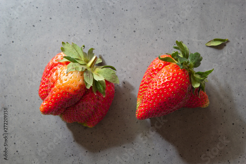 Ugly food. Organic homegrown strawberries on gray cement background. Strange funny imperfect fruits and vegetables  misshapen produce  food waste concept. Top view  copy space.