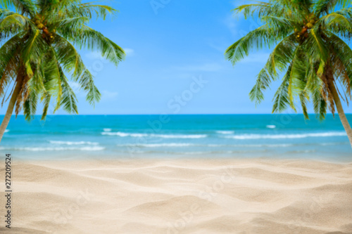 Beach with blurry blue ocean and sky palm tree background  Summer Concept .