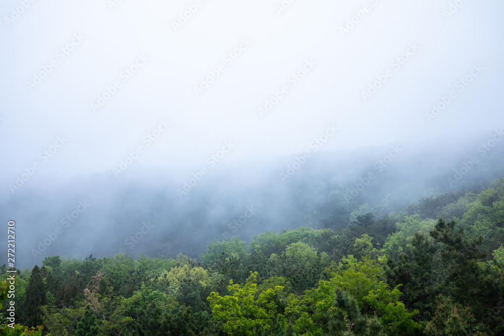 Mountain fog in the morning