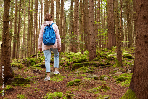 Back view of active female steemp climbs trails in forest, carries rucksack, goes up hill, dressed in casual jacket with hood and blue backpack, has active rest. Sporty woman recreats in mountains.