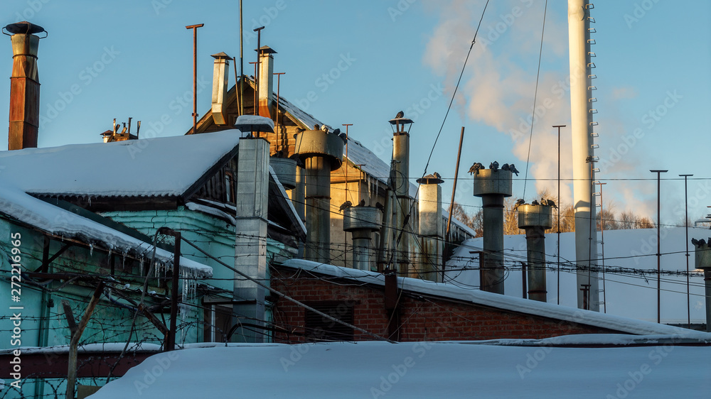Fototapeta premium Close-up of the shop and the pipe of the bread factory. They are heated birds. Cold winter Sunny day.