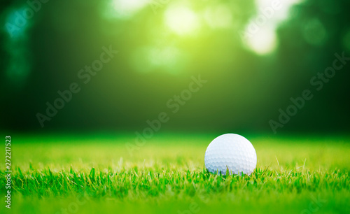 golf ball is on a green lawn in a beautiful golf course