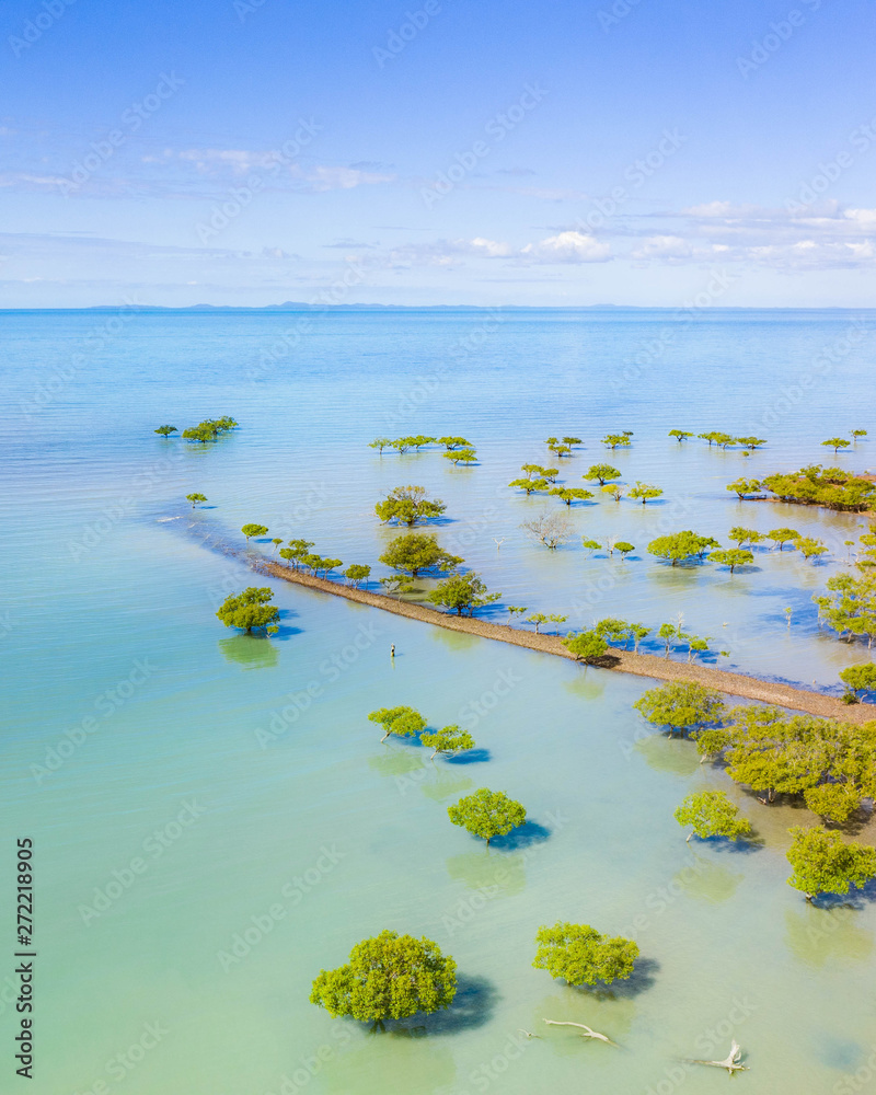 Tropical mangrove aerial landscape with beautiful turquoise color, tropical tress vegetation