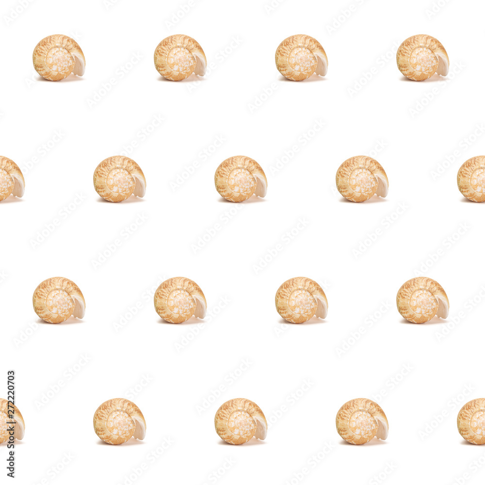 Seashells background. Summer textile concept.