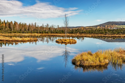 Chalupska Moor Lake near Borova Lada, Sumava Mountains, Czech Republic, Europe. photo