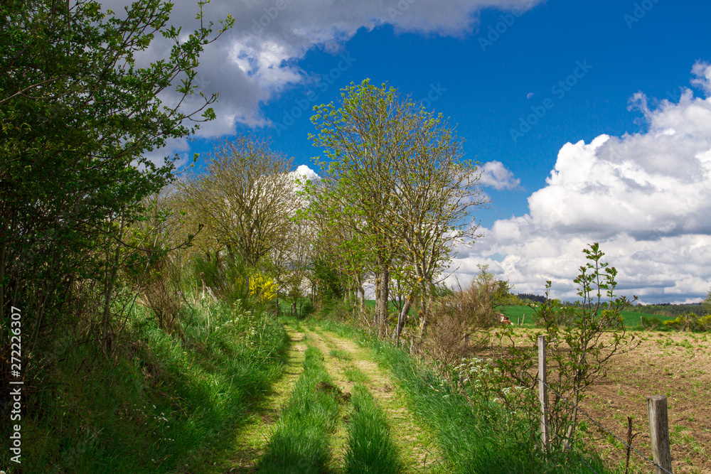 paysage de campagne