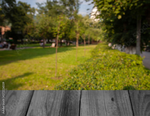 blurred nature park forest background with table