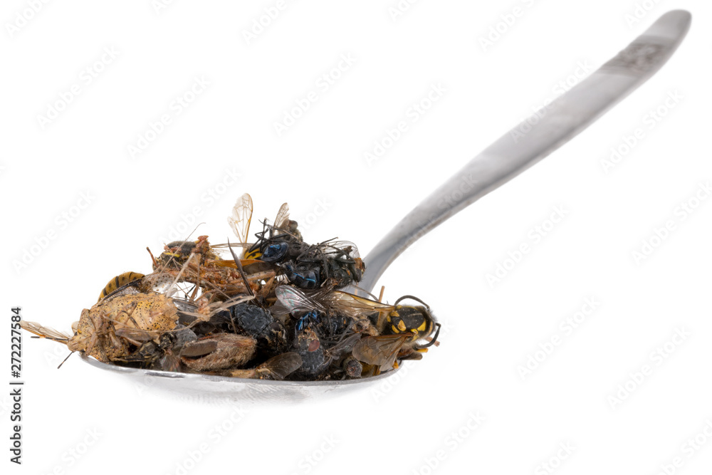 Many dead insects lie on a tablespoon , isolated