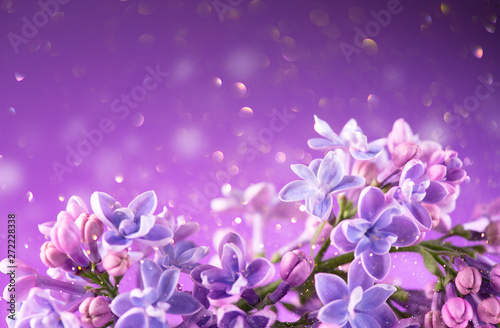 Lilac flowers bunch violet art design background. Beautiful violet Lilac flowers closeup. Watercolor nature floral backdrop