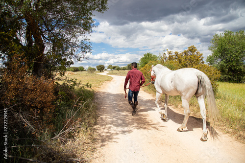 Unrecognizable guy in casual outfit holding leash and walking with white horse in paddock on cloudy day in countryside