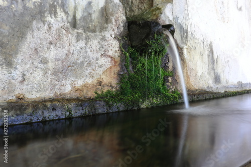 Natural spring in the Krasi, Crete