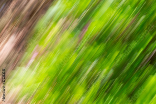 Abstract background image of green leaves and flowers with  motion blur effect